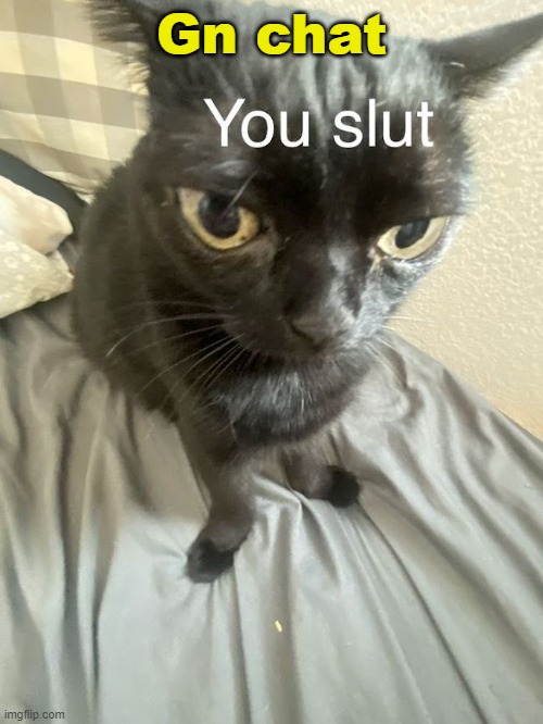 You slut | Gn chat | image tagged in you slut | made w/ Imgflip meme maker