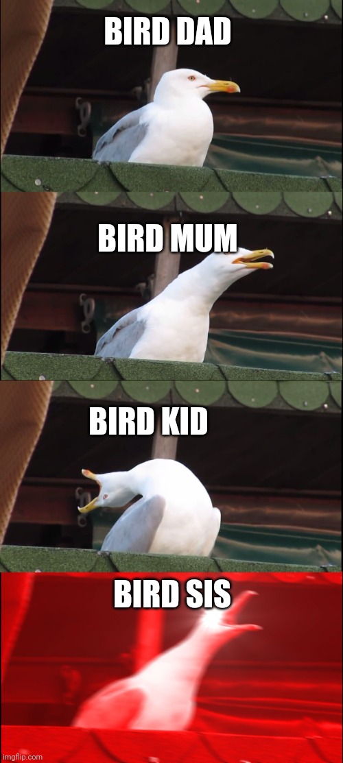 Inhaling Seagull Meme | BIRD DAD; BIRD MUM; BIRD KID; BIRD SIS | image tagged in memes,inhaling seagull | made w/ Imgflip meme maker