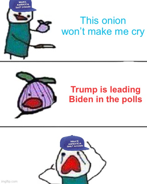 Sometimes the Truth hurts | This onion won’t make me cry; Trump is leading Biden in the polls | image tagged in this onion won't make me cry,memes | made w/ Imgflip meme maker