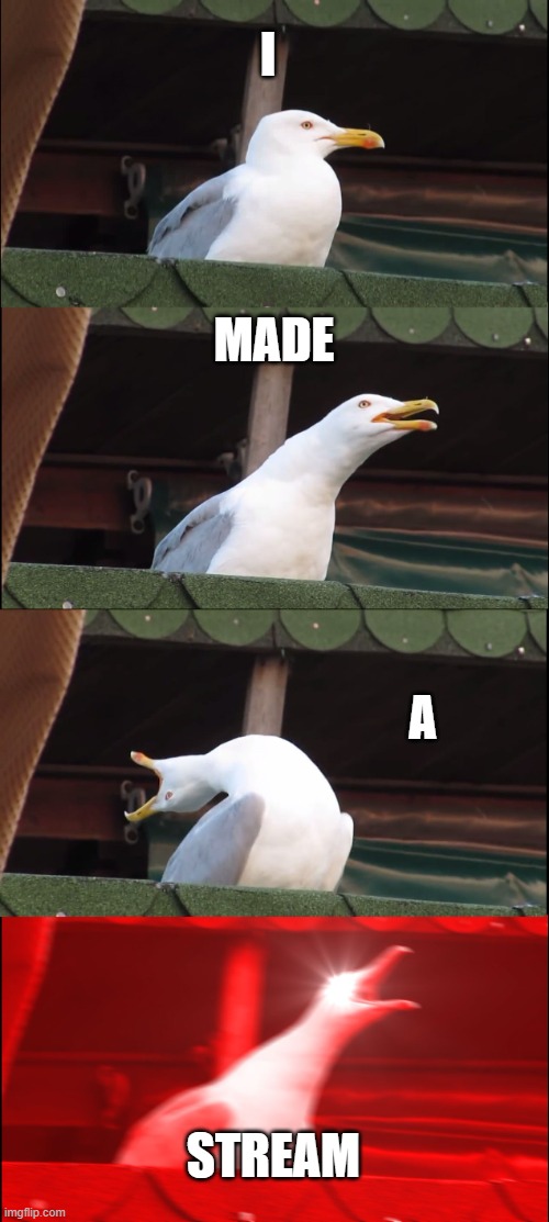 It is called Advice_stream | I; MADE; A; STREAM | image tagged in memes,inhaling seagull | made w/ Imgflip meme maker