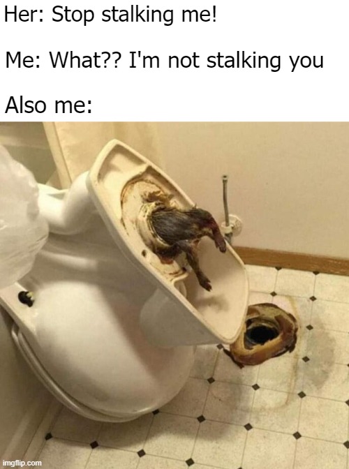 Her: Stop stalking me! Me: What?? I'm not stalking you; Also me: | image tagged in stalker,funny | made w/ Imgflip meme maker