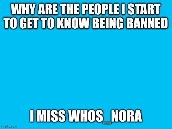 Miss her | WHY ARE THE PEOPLE I START TO GET TO KNOW BEING BANNED; I MISS WHOS_NORA | image tagged in miss you | made w/ Imgflip meme maker