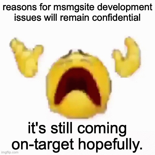 :nooo: | reasons for msmgsite development issues will remain confidential; it's still coming on-target hopefully. | image tagged in nooo | made w/ Imgflip meme maker