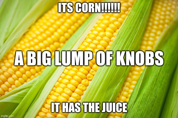 Corn | ITS CORN!!!!!! A BIG LUMP OF KNOBS; IT HAS THE JUICE | image tagged in corn | made w/ Imgflip meme maker