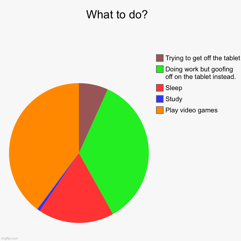What should I do? | What to do?  | Play video games , Study, Sleep, Doing work but goofing off on the tablet instead. , Trying to get off the tablet | image tagged in charts,pie charts | made w/ Imgflip chart maker