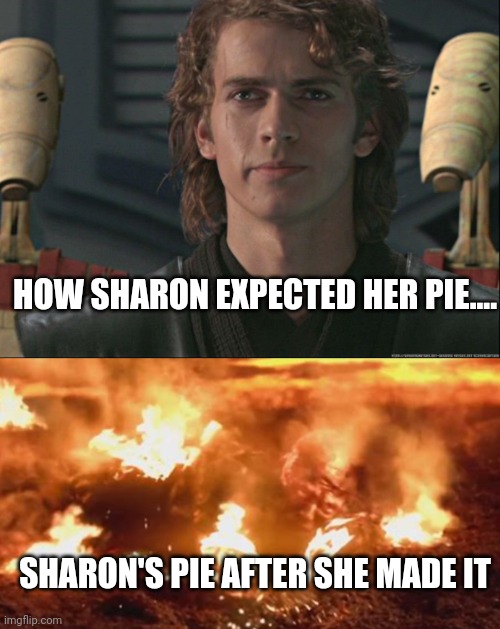 Sharon Weiss' Marie calender pie | HOW SHARON EXPECTED HER PIE.... SHARON'S PIE AFTER SHE MADE IT | image tagged in anakin skywalker | made w/ Imgflip meme maker