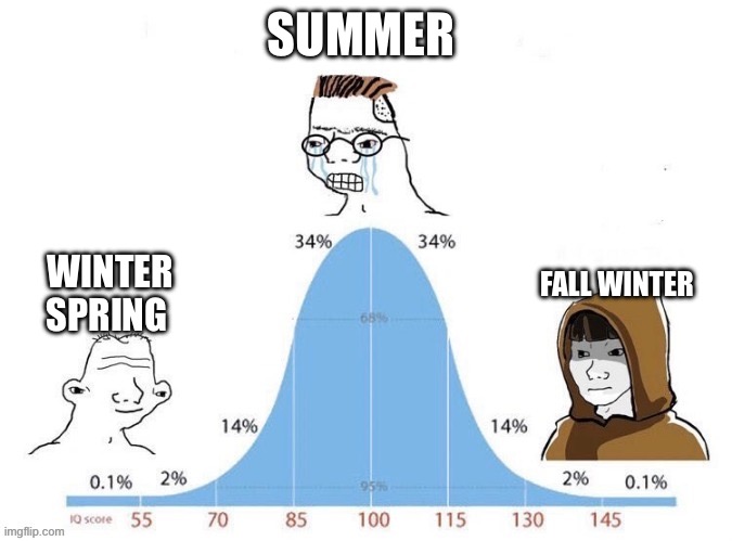 How many percent of imgflipers are gone | SUMMER; FALL WINTER; WINTER SPRING | image tagged in bell curve,memes,funny,imgflip,imgflip users | made w/ Imgflip meme maker