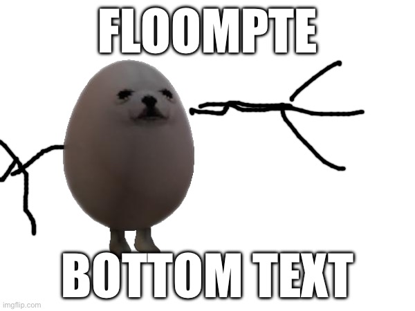 FLOOMPTE; BOTTOM TEXT | made w/ Imgflip meme maker
