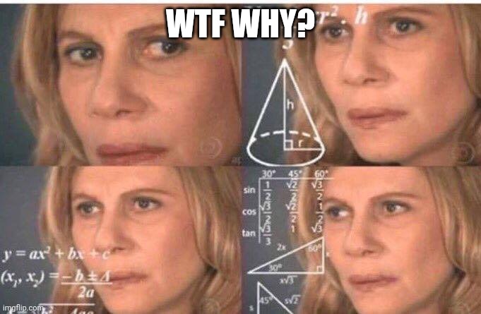 Math lady/Confused lady | WTF WHY? | image tagged in math lady/confused lady | made w/ Imgflip meme maker