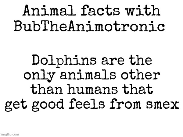 Dolphins are the only animals other than humans that get good feels from smex | image tagged in animal facts with bubtheanimotronic | made w/ Imgflip meme maker