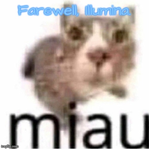 https://imgflip.com/i/87fvwp | Farewell, Illumina. | image tagged in miau | made w/ Imgflip meme maker