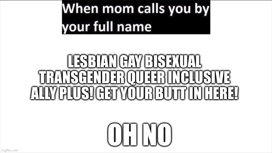 Meme | LESBIAN GAY BISEXUAL TRANSGENDER QUEER INCLUSIVE ALLY PLUS! GET YOUR BUTT IN HERE! OH NO | image tagged in full name | made w/ Imgflip meme maker