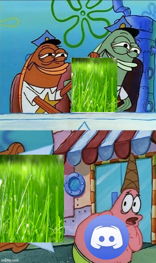 Discord Moderators | image tagged in patrick scared,discord,discord moderator,relatable,touch grass,spongebob | made w/ Imgflip meme maker