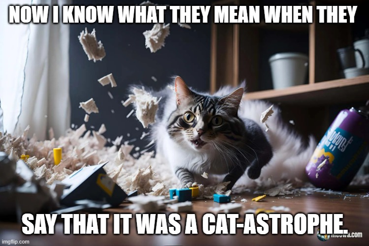 meme by Brad cat-astrophe | NOW I KNOW WHAT THEY MEAN WHEN THEY; SAY THAT IT WAS A CAT-ASTROPHE. | image tagged in cat meme | made w/ Imgflip meme maker