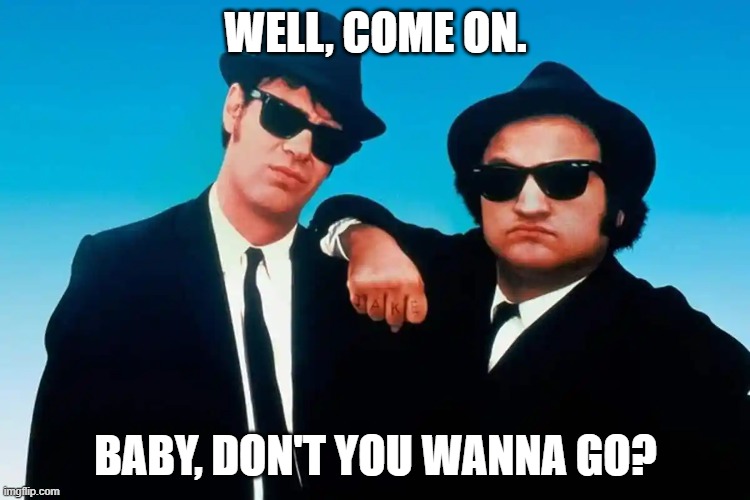 the blues brothers | WELL, COME ON. BABY, DON'T YOU WANNA GO? | image tagged in funny | made w/ Imgflip meme maker