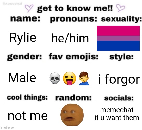 get to know me but better | Rylie; he/him; 💀😛🤦‍♂️; i forgor; Male; memechat if u want them; not me | image tagged in get to know me but better | made w/ Imgflip meme maker