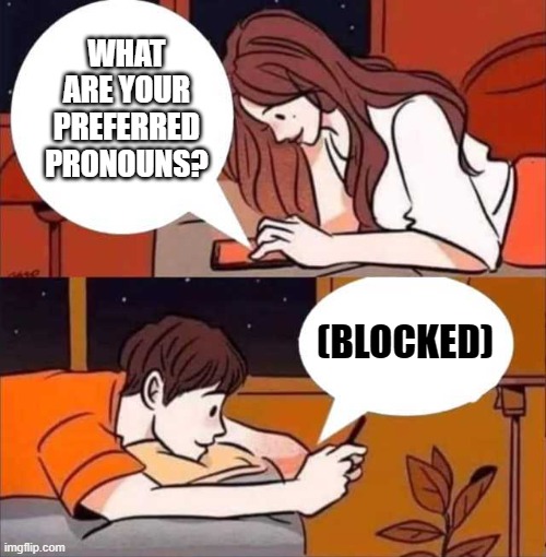 Preferred Pronouns | WHAT ARE YOUR PREFERRED PRONOUNS? (BLOCKED) | image tagged in boy and girl texting | made w/ Imgflip meme maker