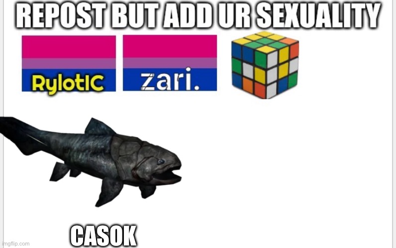 CASOK | made w/ Imgflip meme maker