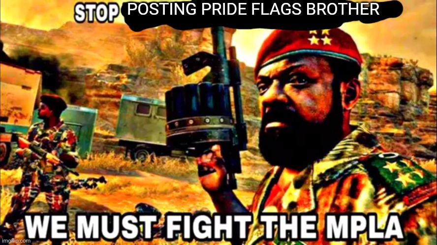 STOP WATCHING THIS BROTHER! | POSTING PRIDE FLAGS BROTHER | image tagged in stop watching this brother | made w/ Imgflip meme maker