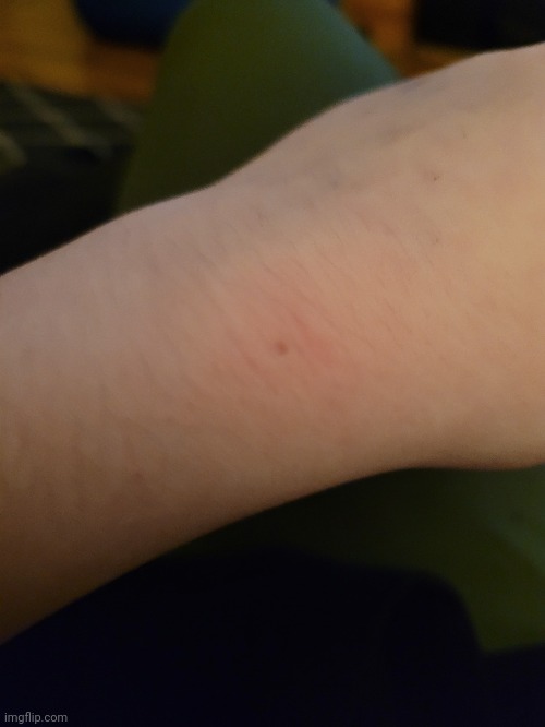 it stopped bleeding but yeah I also tried to stab myself too | made w/ Imgflip meme maker