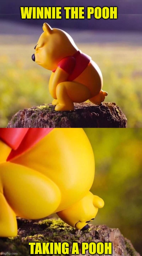 AND HE'S HAPPY ABOUT IT | WINNIE THE POOH; TAKING A POOH | image tagged in winnie the pooh,wtf | made w/ Imgflip meme maker