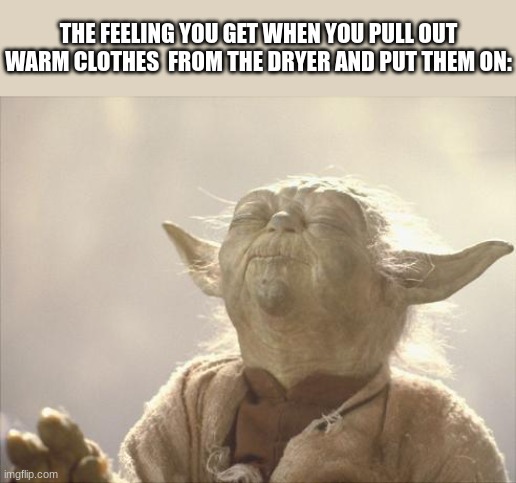 *Satisfaction intensifies* | THE FEELING YOU GET WHEN YOU PULL OUT WARM CLOTHES  FROM THE DRYER AND PUT THEM ON: | image tagged in satisfied yoda,satisfaction,laundry | made w/ Imgflip meme maker