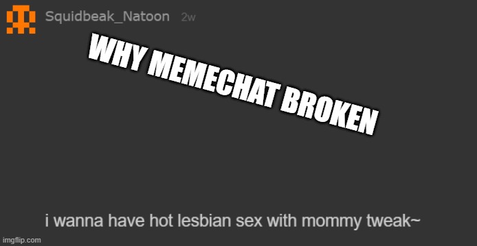 LIET (NAT NOTE: FUCKING STOP) | WHY MEMECHAT BROKEN | made w/ Imgflip meme maker