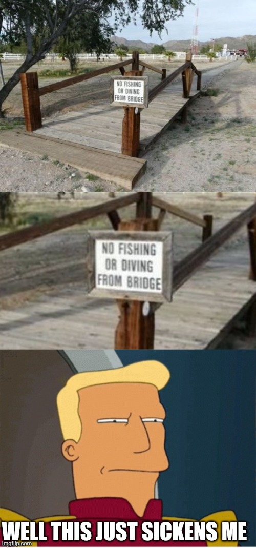 DAMN GOVERNMENT | WELL THIS JUST SICKENS ME | image tagged in stupid signs,fail,futurama | made w/ Imgflip meme maker