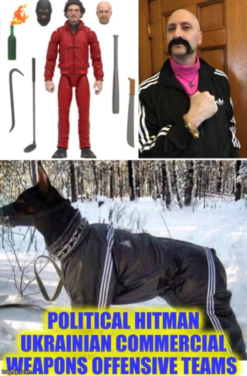 Funny | image tagged in funny | made w/ Imgflip meme maker