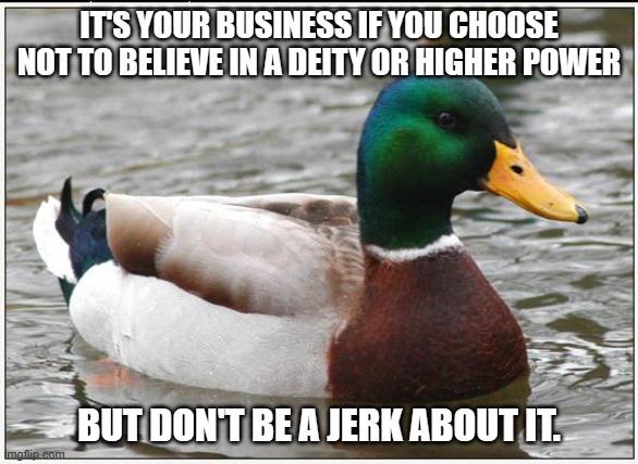 Actual Advice Mallard Meme | IT'S YOUR BUSINESS IF YOU CHOOSE NOT TO BELIEVE IN A DEITY OR HIGHER POWER BUT DON'T BE A JERK ABOUT IT. | image tagged in memes,actual advice mallard | made w/ Imgflip meme maker