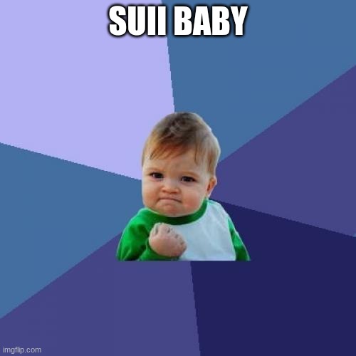 Success Kid | SUII BABY | image tagged in memes,success kid | made w/ Imgflip meme maker