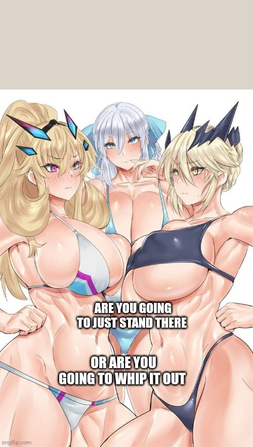 ARE YOU GOING TO JUST STAND THERE; OR ARE YOU GOING TO WHIP IT OUT | image tagged in anime | made w/ Imgflip meme maker
