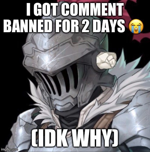 Goblin Slayer | I GOT COMMENT BANNED FOR 2 DAYS 😭; (IDK WHY) | image tagged in goblin slayer | made w/ Imgflip meme maker