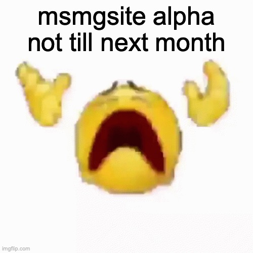 :nooo: | msmgsite alpha not till next month | image tagged in nooo | made w/ Imgflip meme maker