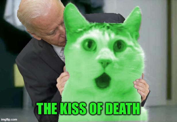 RayCat Biden | THE KISS OF DEATH | image tagged in raycat biden,memes,more than nine lives | made w/ Imgflip meme maker
