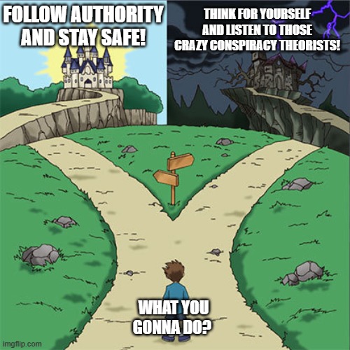Conspiracy Theories | FOLLOW AUTHORITY AND STAY SAFE! THINK FOR YOURSELF AND LISTEN TO THOSE CRAZY CONSPIRACY THEORISTS! WHAT YOU GONNA DO? | image tagged in two paths,truth,authority,government,criticalthinking | made w/ Imgflip meme maker