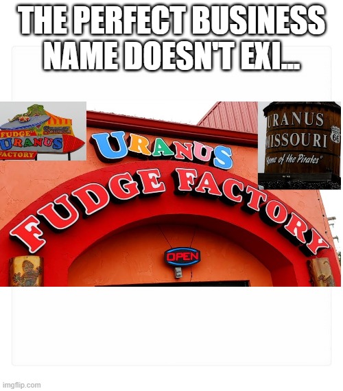 Perfect Business Name | THE PERFECT BUSINESS NAME DOESN'T EXI... | image tagged in the perfect thing doesn't exist | made w/ Imgflip meme maker