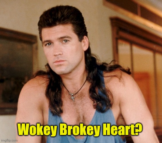 billy ray cyrus mullet | Wokey Brokey Heart? | image tagged in billy ray cyrus mullet | made w/ Imgflip meme maker