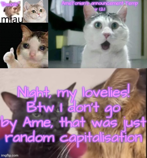 AmeTonian's announcement Temp v 1.2.1 | Night, my lovelies!
Btw I don't go by Ame, that was just random capitalisation | image tagged in ametonian's announcement temp v 1 2 1 | made w/ Imgflip meme maker