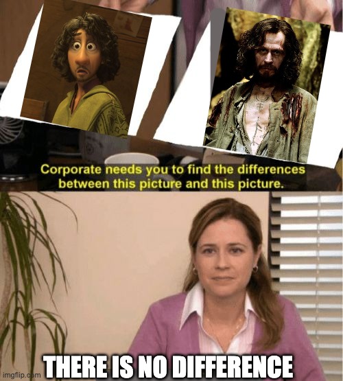 Bruno is animated Sirius | THERE IS NO DIFFERENCE | image tagged in i see no diffrence,harry potter,sirius black,bruno,encanto,furrfluf | made w/ Imgflip meme maker