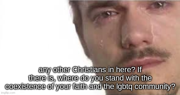 curiosity killed the cat, I'm next I can promise that | any other Christians in here? If there is, where do you stand with the coexistence of your faith and the lgbtq community? | image tagged in crying bro | made w/ Imgflip meme maker