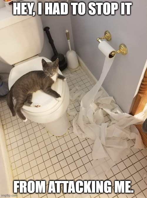 meme by Brad cat with toilet paper | HEY, I HAD TO STOP IT; FROM ATTACKING ME. | image tagged in cat meme | made w/ Imgflip meme maker