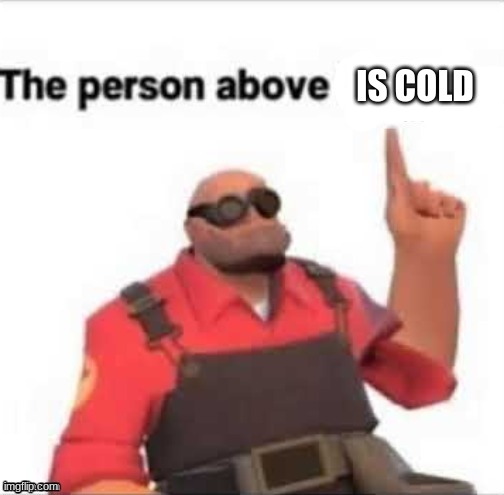 The person above | IS COLD | image tagged in the person above | made w/ Imgflip meme maker