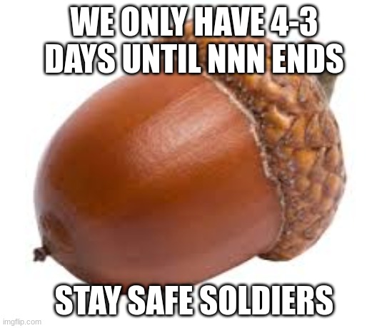Acorn | WE ONLY HAVE 4-3 DAYS UNTIL NNN ENDS; STAY SAFE SOLDIERS | image tagged in acorn | made w/ Imgflip meme maker