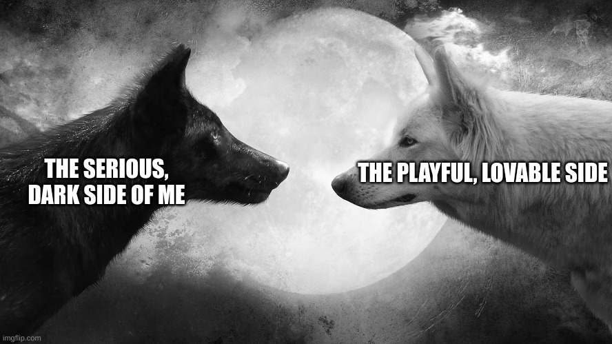 You have two wolves | THE SERIOUS, DARK SIDE OF ME THE PLAYFUL, LOVABLE SIDE | image tagged in you have two wolves | made w/ Imgflip meme maker