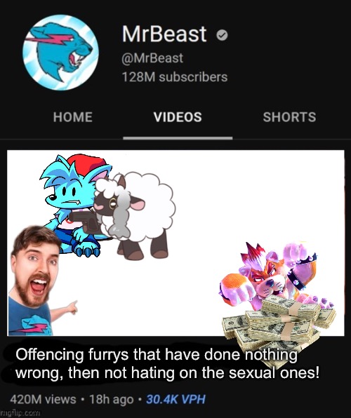 Offencing furrys that have done nothing wrong, then not hating on the sexual ones! | image tagged in mrbeast thumbnail template | made w/ Imgflip meme maker