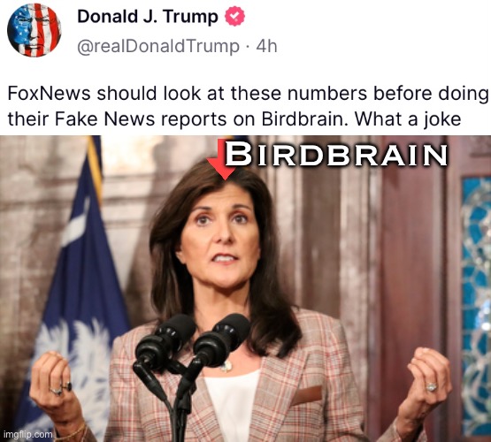 Nikki Haley will never become U.S President. PLEASE! | Birdbrain | image tagged in president trump,donald trump,republican party,presidential election | made w/ Imgflip meme maker