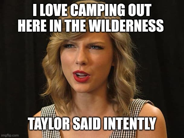 Taylor said intently | I LOVE CAMPING OUT HERE IN THE WILDERNESS; TAYLOR SAID INTENTLY | image tagged in taylor swiftie | made w/ Imgflip meme maker