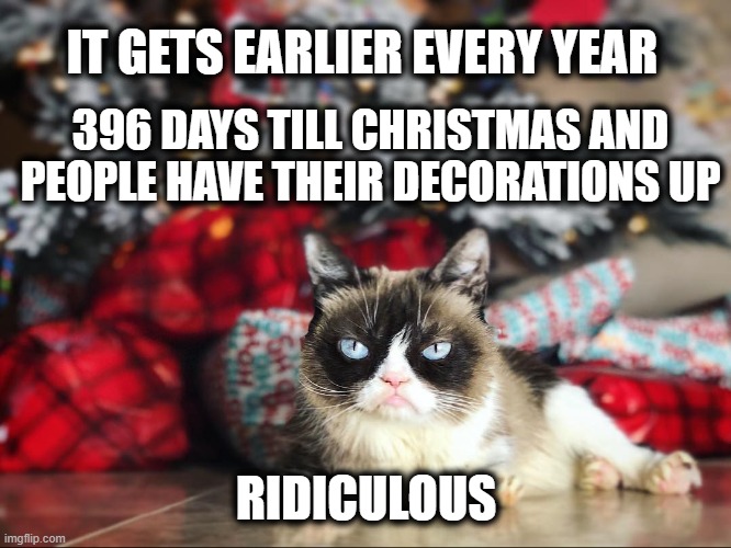 Christmas Cat | IT GETS EARLIER EVERY YEAR; 396 DAYS TILL CHRISTMAS AND PEOPLE HAVE THEIR DECORATIONS UP; RIDICULOUS | image tagged in grumpy cat under the christmas tree | made w/ Imgflip meme maker