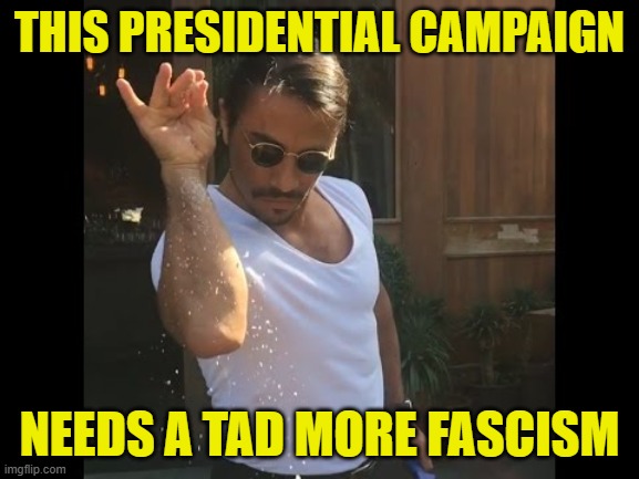 Salt guy | THIS PRESIDENTIAL CAMPAIGN NEEDS A TAD MORE FASCISM | image tagged in salt guy | made w/ Imgflip meme maker